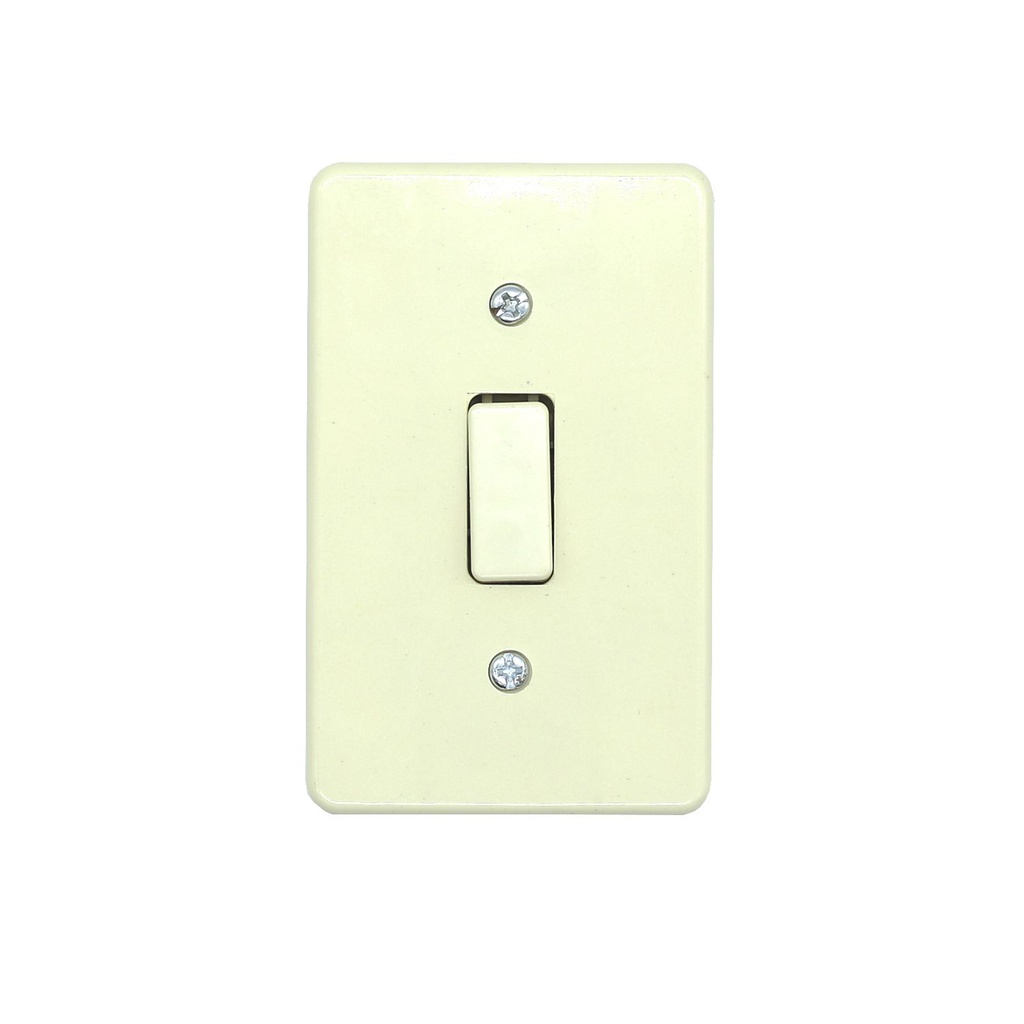Switch sencillo empotrable  6a conc f1100=5901