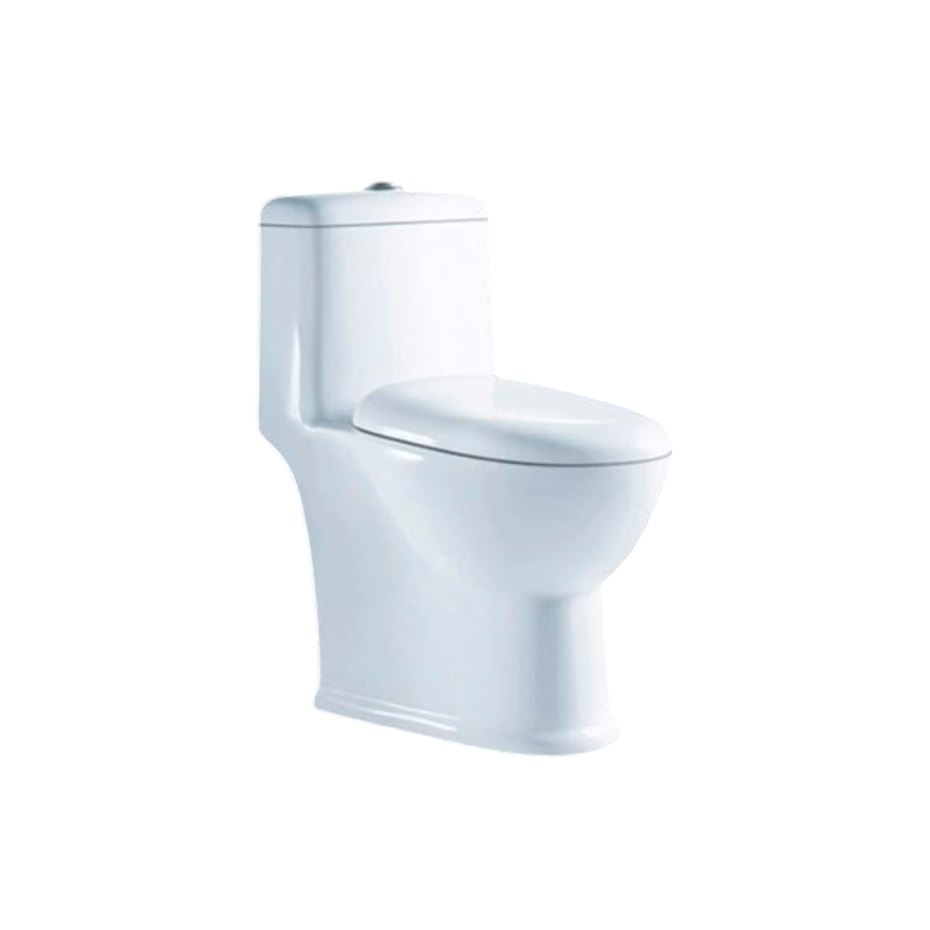 Sanitario luigi one piece 67x37x71.5cm