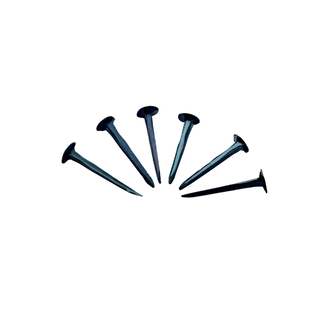 Tachuela negra de 1" shoe tacks china