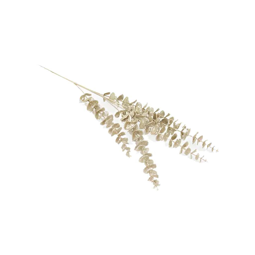 Rama navideña 71cm 2cs1503-176 champagne