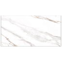 Porcelanato 60x120cm 2pc 1.44m2 carl sat