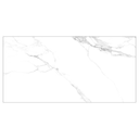 Porcelanato 60x120cm 2pc 1.44m2 statuari