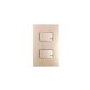 Switch doble empotrable t&j 8004-ch champagne
