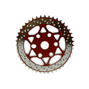 Catarina 44t solo rueda 1/8" js-cw012