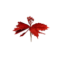 Flor navideña 19x22cm xh1463863r rojo