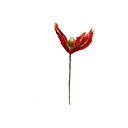Flor navideña 20cm mh1075 rojo