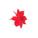 Flor navideña 24cm 2cs2202-1444 rojo