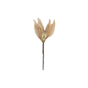 Flor navideña 26cm stsd2314 dorado/blanco