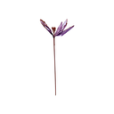 Flor navideña 30cm 2-cs1603-1197 mora/rose gold