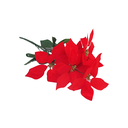 Flor navideña pascua 21x37cm 1602-931 blanco