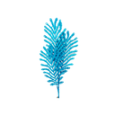 Rama navideña 72cm 2-cs1503-203 azul