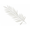 Rama navideña hoja 15x32cm 2202-0114 blanco