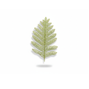 Rama navideña hoja 40cm 2-cs1503-878 verde